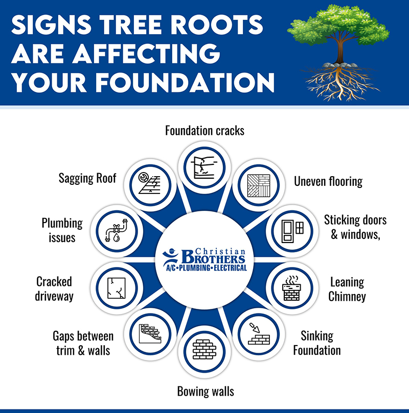 signs roots affecting foundation